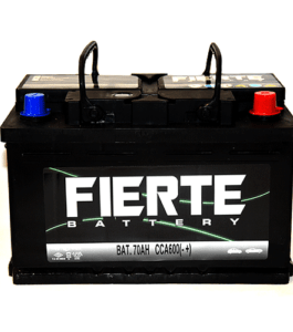 Bateria Fierte (100 amp) 60044 cca790
